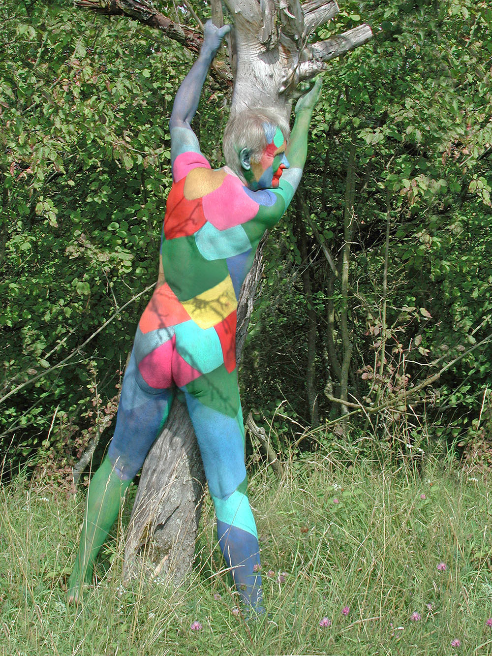 FKK - Bemalter Mann, nackt und frei in der Natur - Bodypainting, Körperbemalung, Körpermalerei